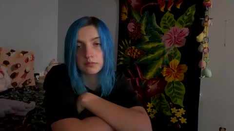 Kitty online show from 6, 12, 2024