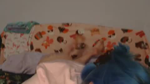 Kitty online show from 7, 12, 2024