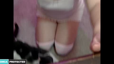 Kitty online show from 16, 1, 2025