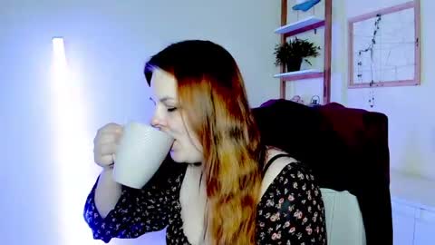 Kitten online show from 22, 7, 2026