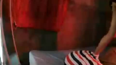 kitty_pussy0416 online show from 29, 6, 2026