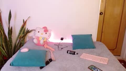 Snapshot of kittycatw chatting on 10, 2, 2026 LAURA help me reach 100likes online show from 10, 2, 2026