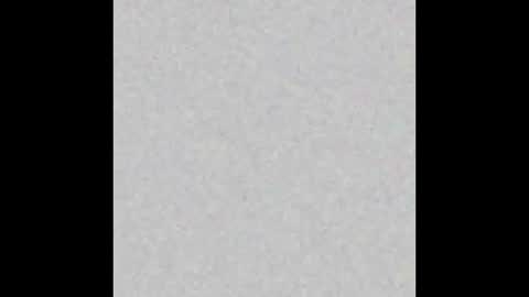 kitty online show from 16, 2, 2026