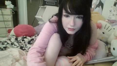 kittypills online show from 8, 6, 2026