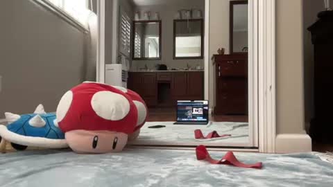 kittypurr79 online show from 11, 1, 2025