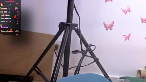 Kitty online show from 16, 12, 2025