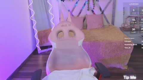 Kitty  online show from 15, 1, 2025