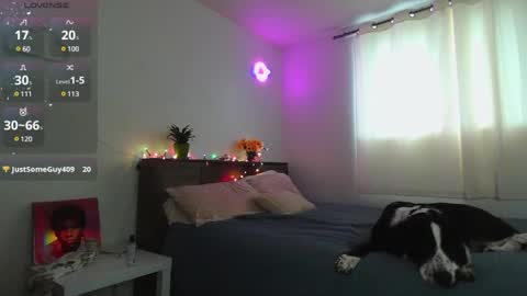 Kittyymaze online show from 12, 12, 2024