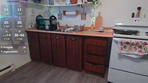 Kittyymaze online show from 7, 1, 2025