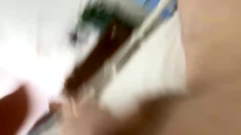 klimt2525 online show from 12, 1, 2026