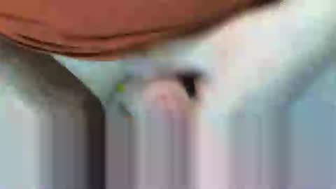 Snapshot of klok8230 chatting on 15, 2, 2026 klok8230 online show from 15, 2, 2026