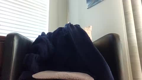 knightrider4324 online show from 21, 12, 2024