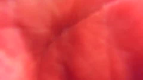 Snapshot of kobayaske chatting on 15, 2, 2025 kobayaske online show from 15, 2, 2025