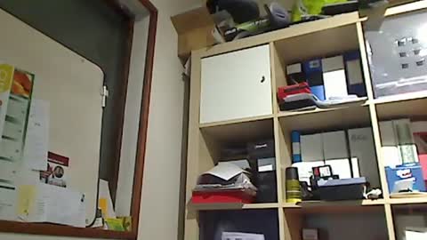 kokin3034 online show from 8, 1, 2025