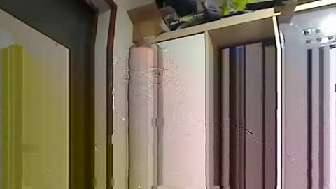 kokin3034 online show from 22, 2, 2025