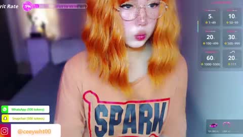 Snapshot of koreandollts chatting on 30, 7, 2026 MISS ALICIA online show from 30, 7, 2026