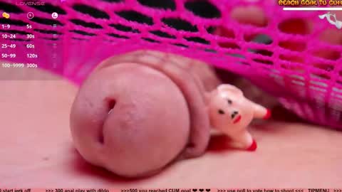 Petra online show from 24, 2, 2025