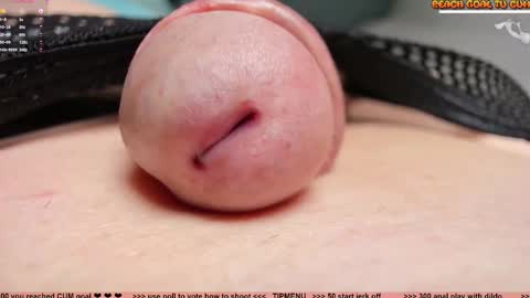 Petra online show from 21, 3, 2026