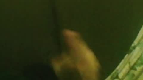 Snapshot of kren565656 chatting on 29, 12, 2024 kren565656 online show from 29, 12, 2024