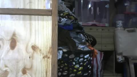 Snapshot of krishasweet chatting on 11, 12, 2024 krishasweet online show from 11, 12, 2024