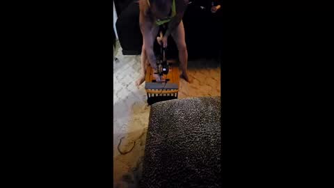 krystltymeup online show from 11, 3, 2026