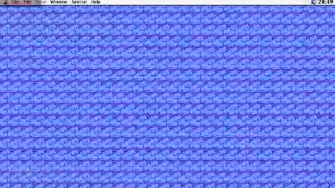 Krypto hethey online show from 31, 10, 2025