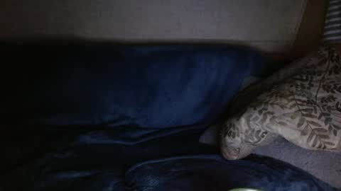 Kyle chat online show from 4, 4, 2026