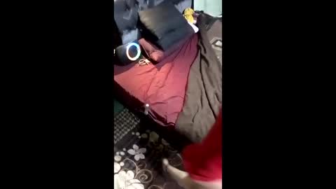 Snapshot of labestiareconoseme44420 chatting on 8, 3, 2026 labestiareconoseme44420 online show from 8, 3, 2026