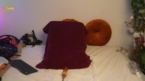 Latex Lacie online show from 4, 3, 2025