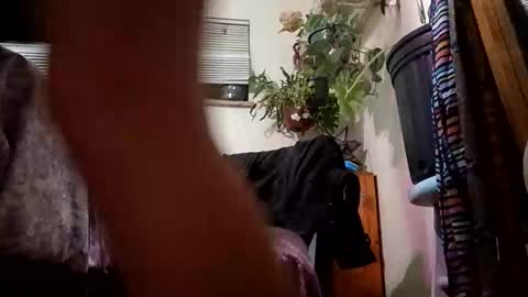 lacybell online show from 23, 12, 2024