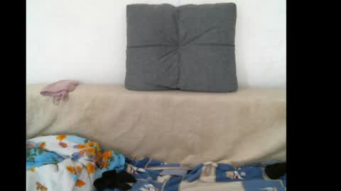 Snapshot of lady_cute_cat chatting on 16, 5, 2026 lady cute cat29 online show from 16, 5, 2026