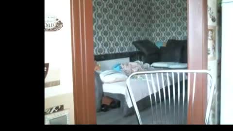 Snapshot of lady_cute_cat chatting on 23, 6, 2026 lady cute cat29 online show from 23, 6, 2026