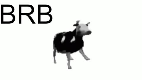 just call me Lana  and her security online show from 23, 1, 2025