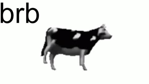 just call me Lana  and her security online show from 7, 2, 2025