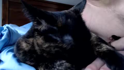 Snapshot of lancehardin chatting on 16, 12, 2025 Lance online show from 16, 12, 2025