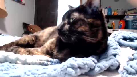 Snapshot of lancehardin chatting on 11, 3, 2026 Lance online show from 11, 3, 2026