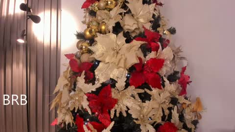 Tiana online show from 19, 12, 2024