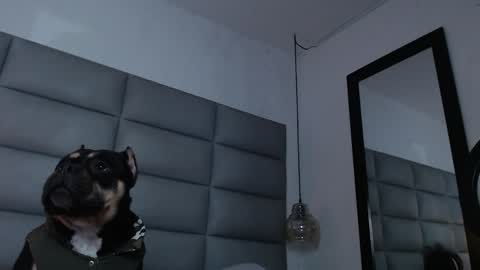 Snapshot of larademon chatting on 31, 12, 2024 lara online show from 31, 12, 2024