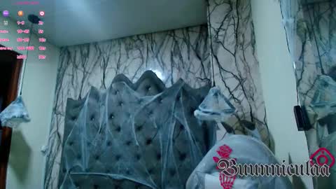  Lari online show from 26, 10, 2025