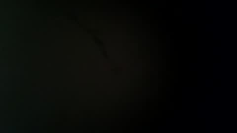 larry009 online show from 22, 12, 2025