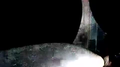 Snapshot of latexchris77 chatting on 7, 1, 2026 latexchris77 online show from 7, 1, 2026