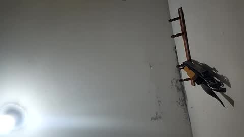 Snapshot of latigo1000 chatting on 20, 12, 2025 CHARLES ROBERT online show from 20, 12, 2025