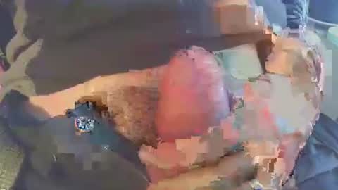 Snapshot of latil chatting on 29, 11, 2025 joseph online show from 29, 11, 2025