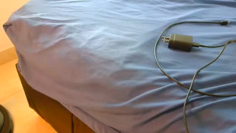 blackBear online show from 16, 11, 2025