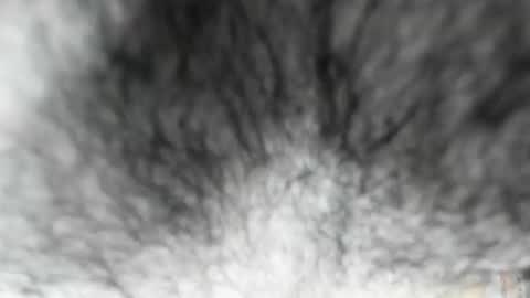 Snapshot of latinhotboys1 chatting on 3, 2, 2026 Zeus online show from 3, 2, 2026