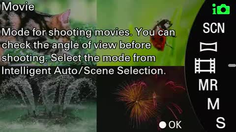 Monica online show from 24, 9, 2025