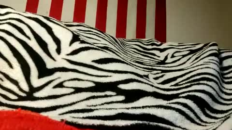 lawerenceingram46 online show from 17, 9, 2025