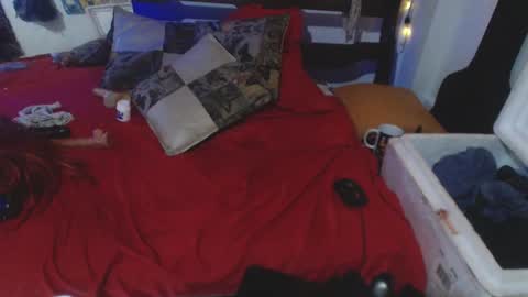 Laye19 online show from 1, 3, 2025