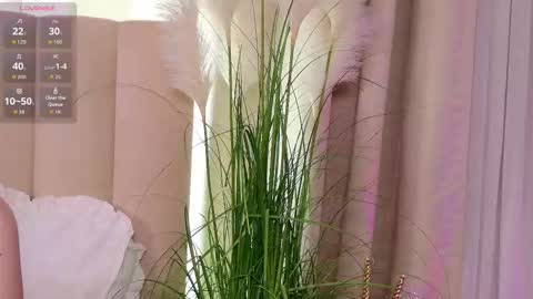 Snapshot of layla_bloom chatting on 31, 1, 2026 Your sweet girl-next-door online show from 31, 1, 2026