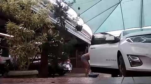 kelly online show from 1, 11, 2025